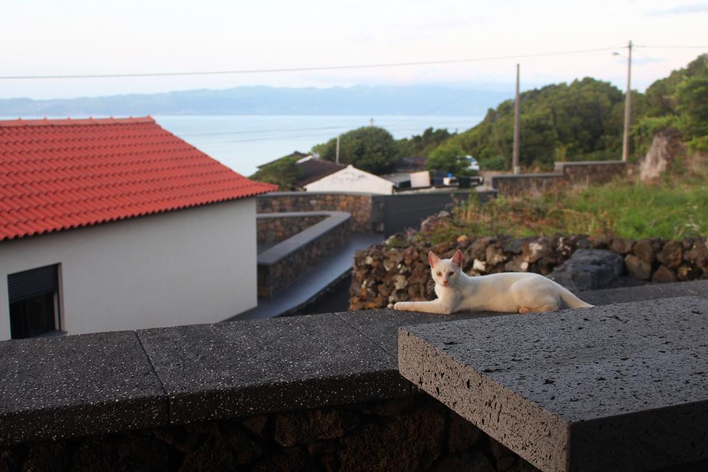 Vila Paim Santo Antonio  ภายนอก รูปภาพ
